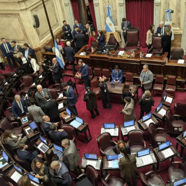 El Senado inició la sesión para debatir el proyecto de Propiedad Privada